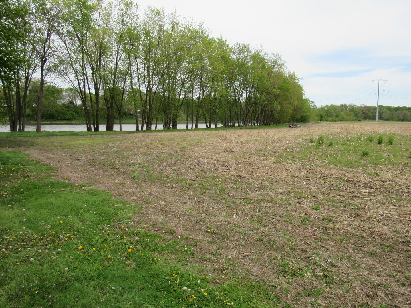 Lot 1 Widows Road Wilmington, IL 60481 - Photo 4 of 5 a view of outdoor space with green field and trees