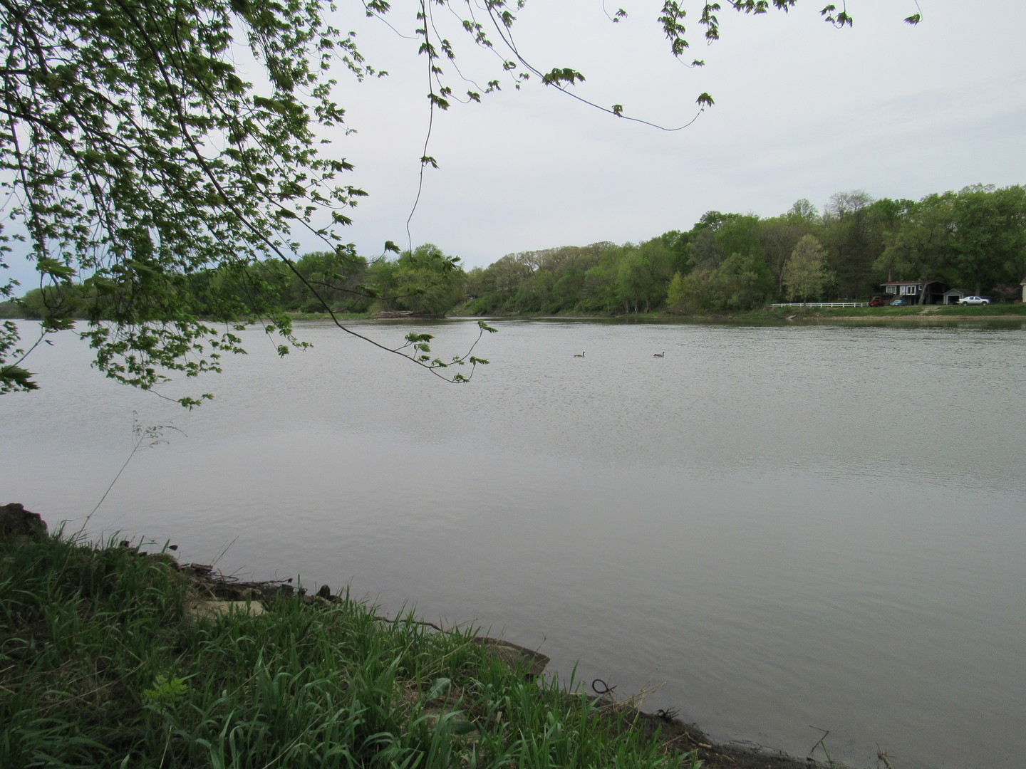 Lot 1 Widows Road Wilmington, IL 60481 - Photo 5 of 5 a view of lake with lots of green space