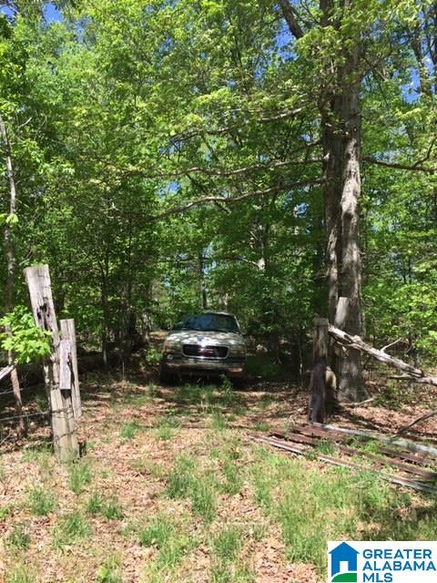 106 County Road, Unit 49836 Mentone, AL 35984 - Photo 16 of 17