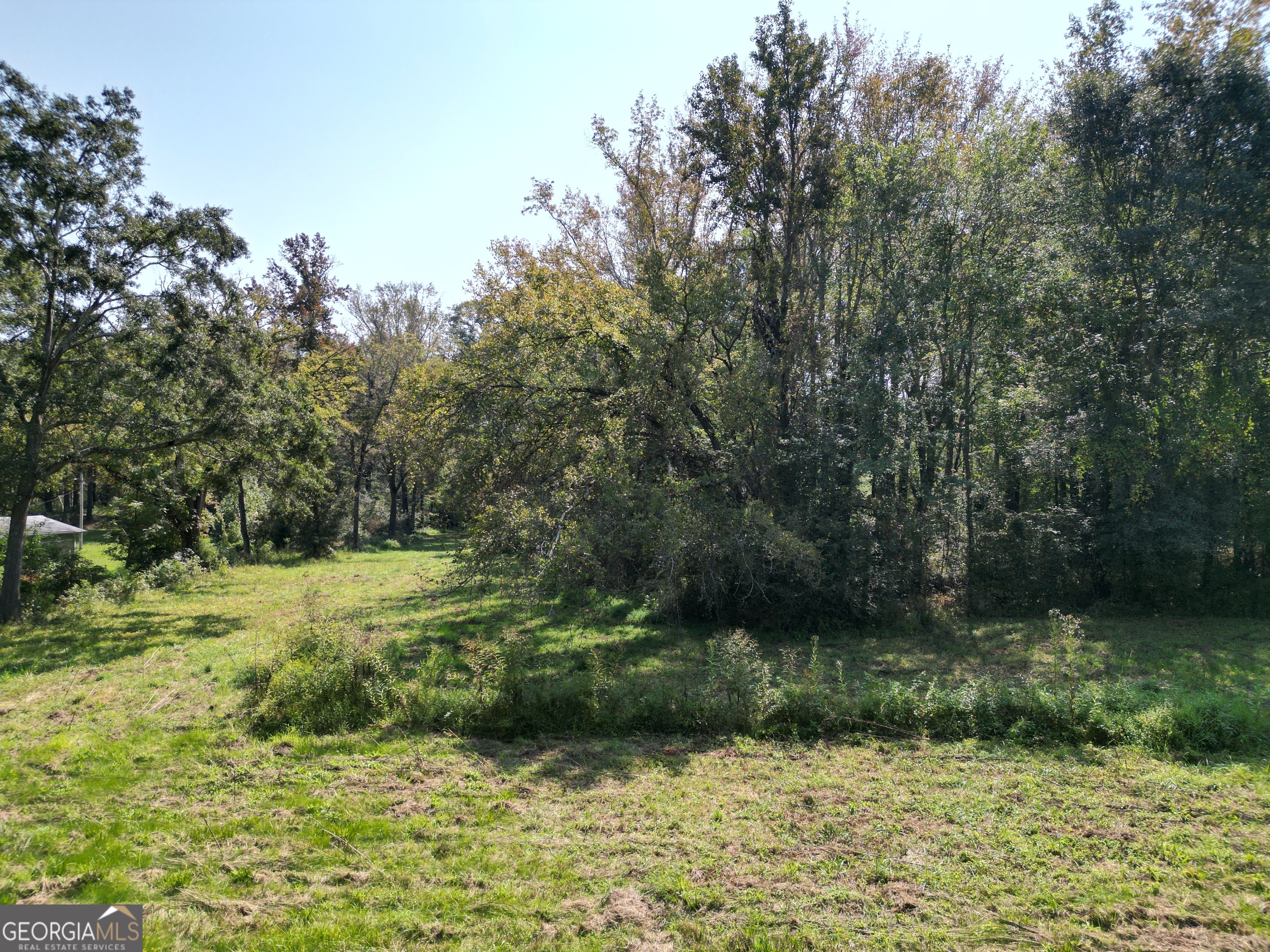 a view of a garden with a lake