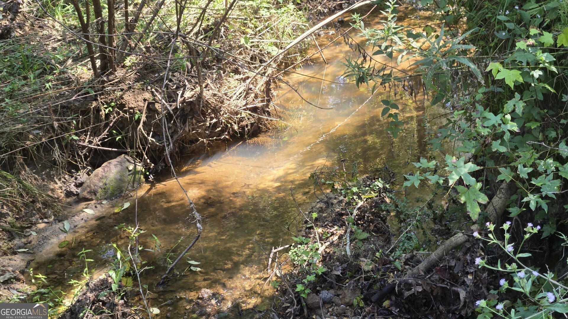0 Wall Street Crawford, GA 30630 - Photo 11 of 28 a view of a yard