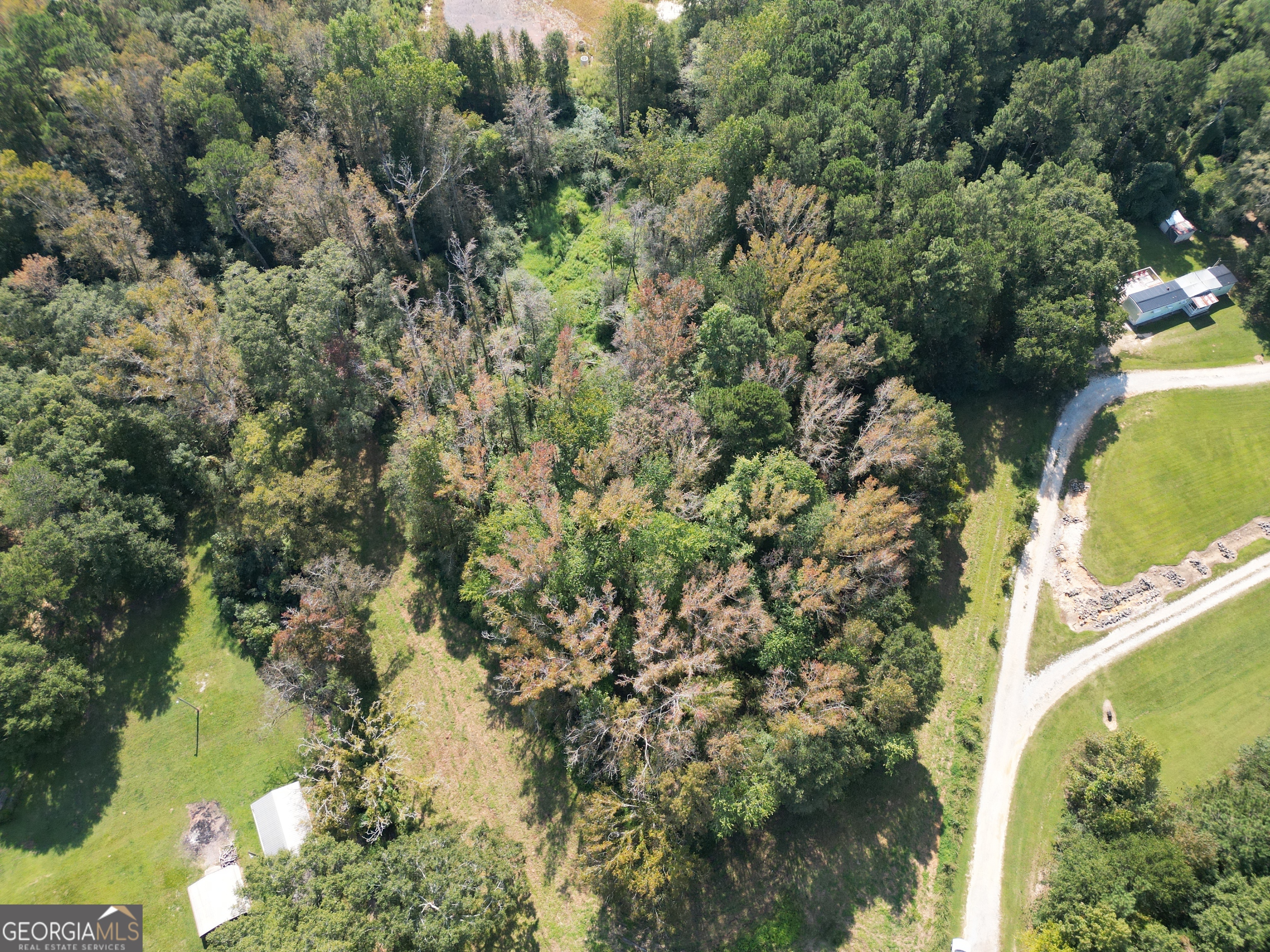 0 Wall Street Crawford, GA 30630 - Photo 14 of 28 a view of a lake with large trees