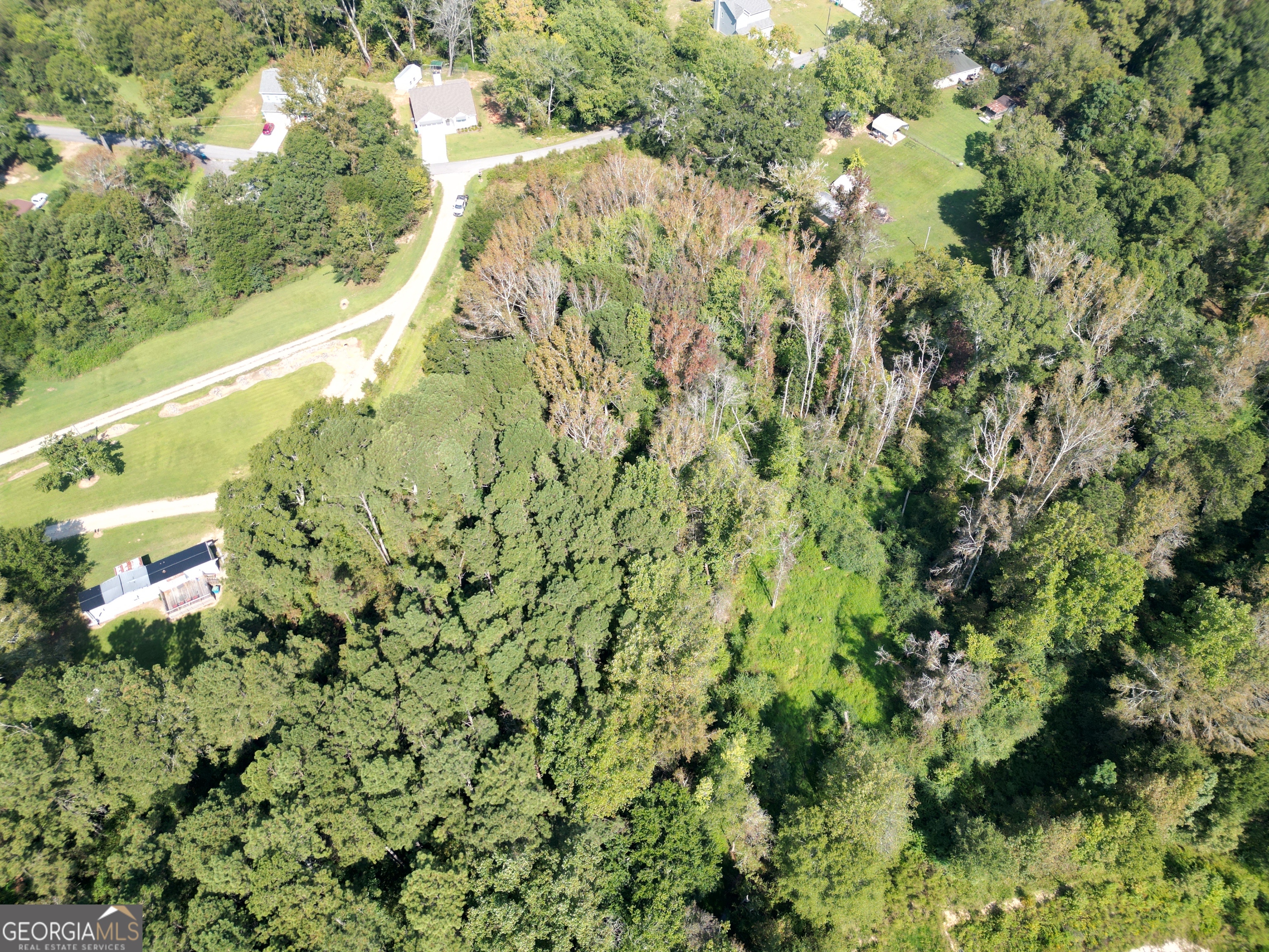 0 Wall Street Crawford, GA 30630 - Photo 15 of 28 a close up of a plant
