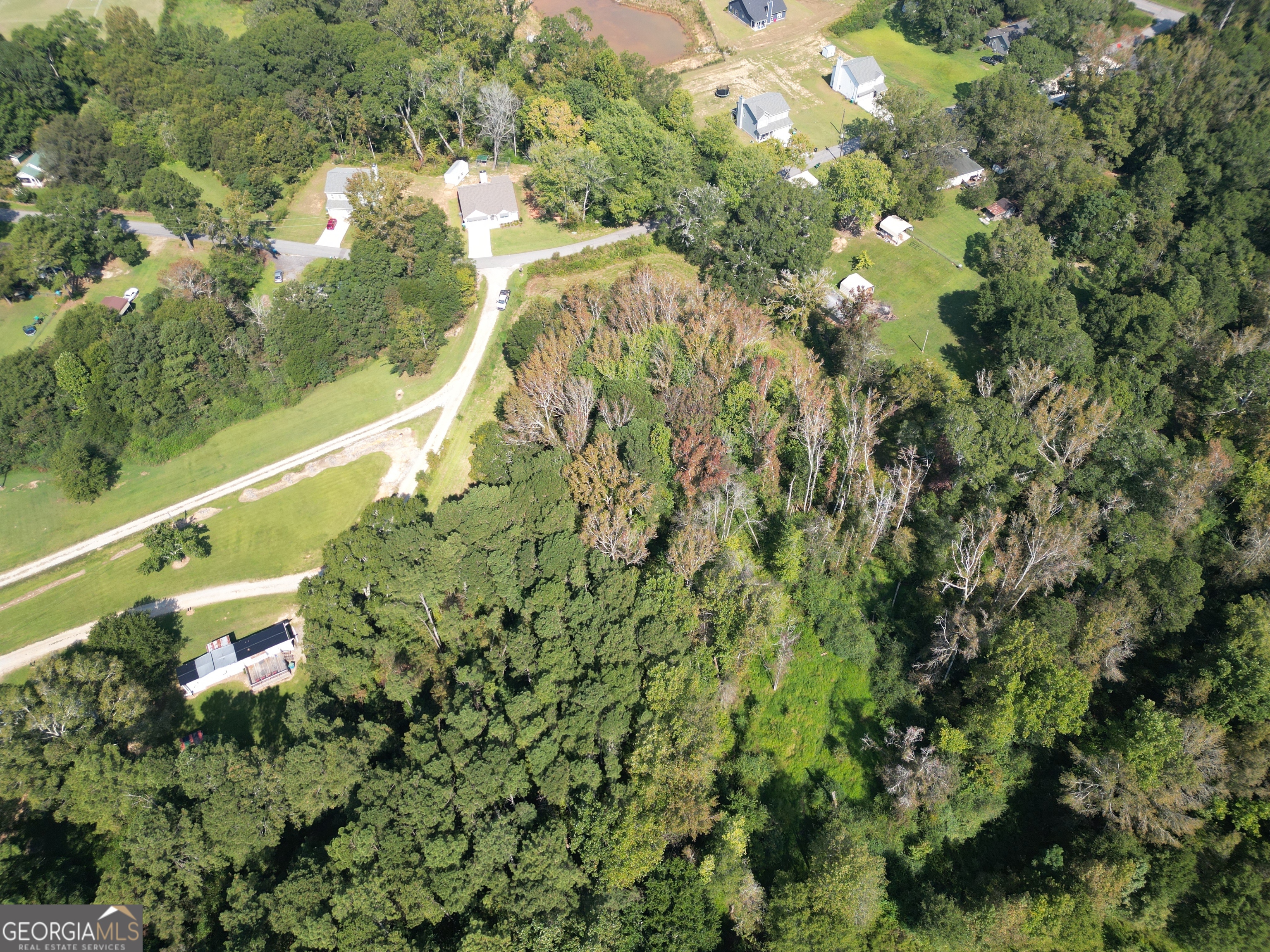 0 Wall Street Crawford, GA 30630 - Photo 16 of 28 a view of a yard with plants