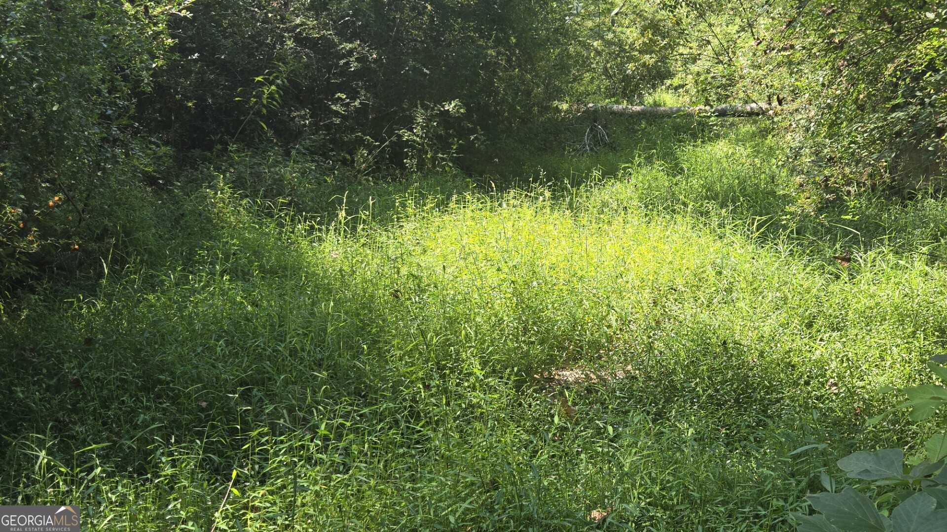 0 Wall Street Crawford, GA 30630 - Photo 19 of 28 a view of a garden