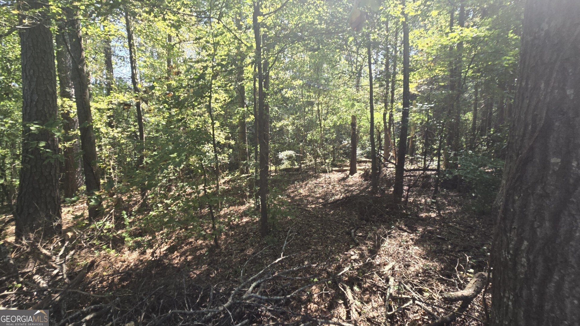 0 Wall Street Crawford, GA 30630 - Photo 20 of 28 a view of forest