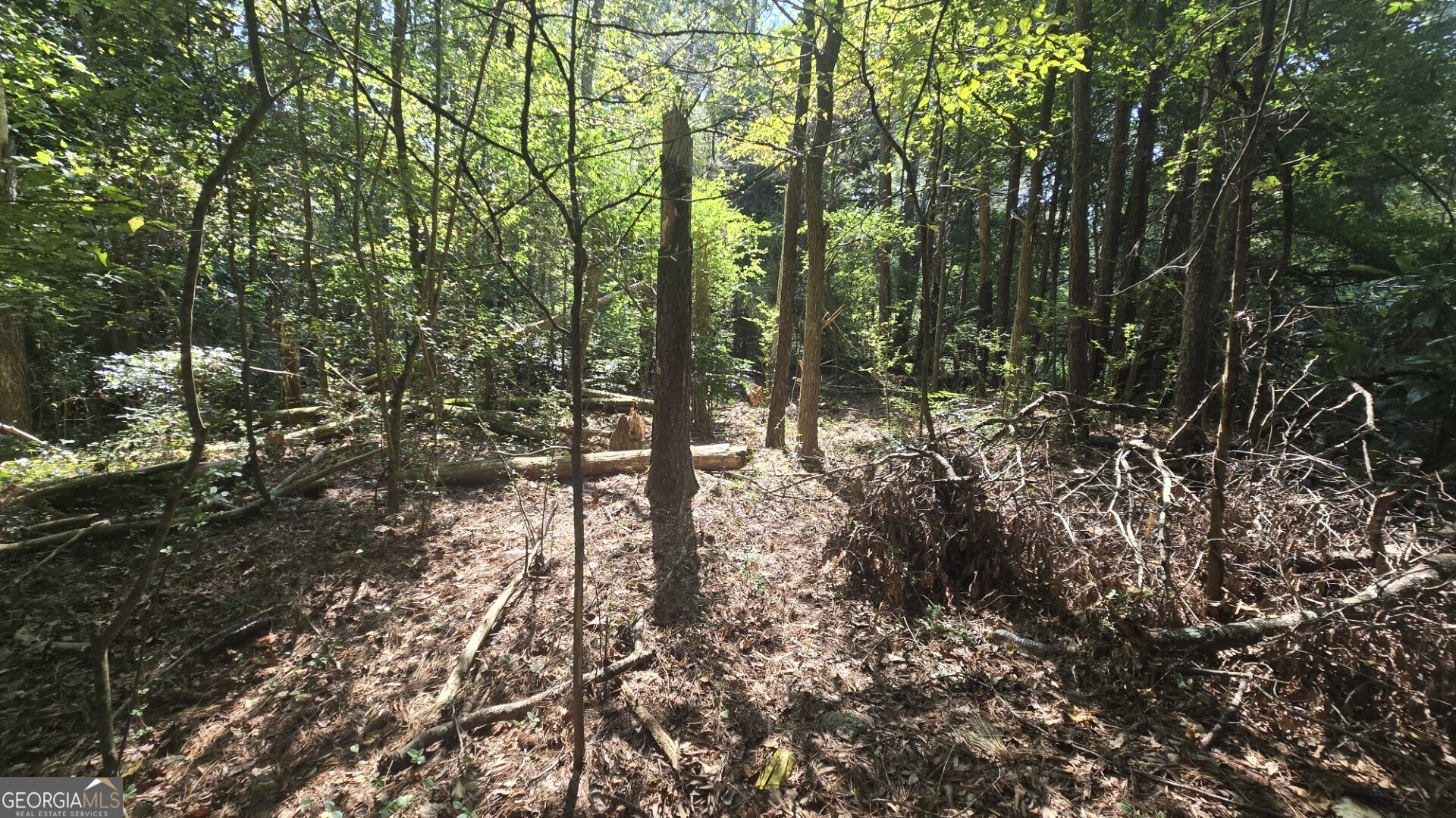 0 Wall Street Crawford, GA 30630 - Photo 23 of 28