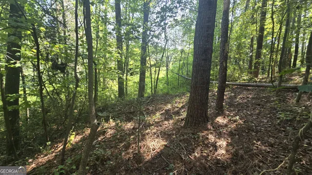 $69,999 | 0 Wall Street, Crawford, GA 30630