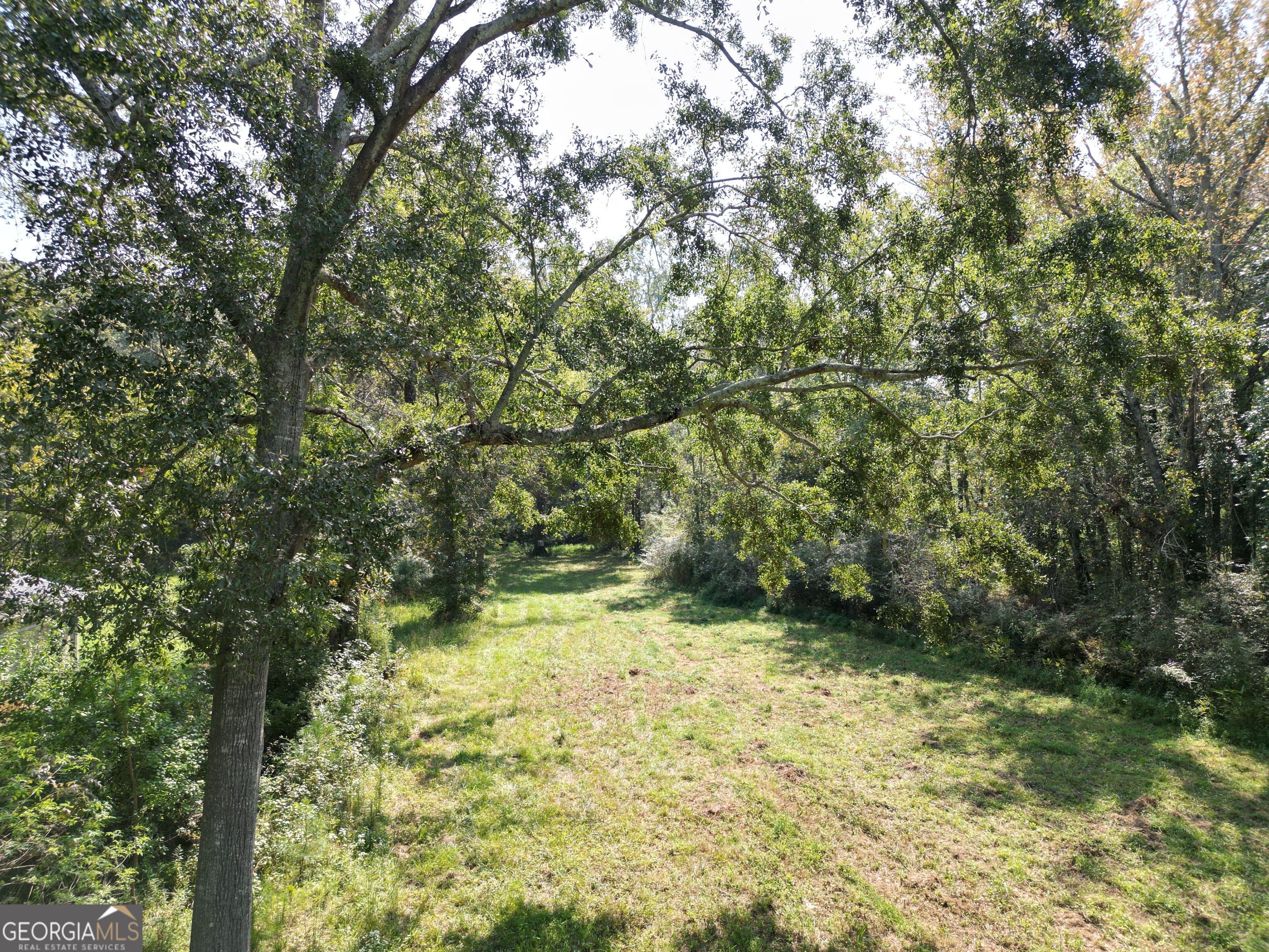 0 Wall Street Crawford, GA 30630 - Photo 5 of 28 a view of outdoor space and garden