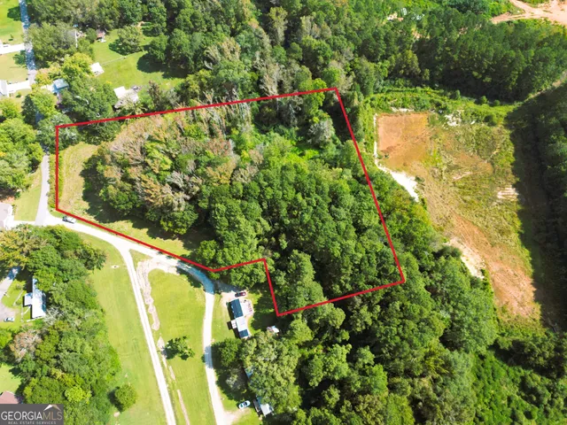 a view of a tree in a garden