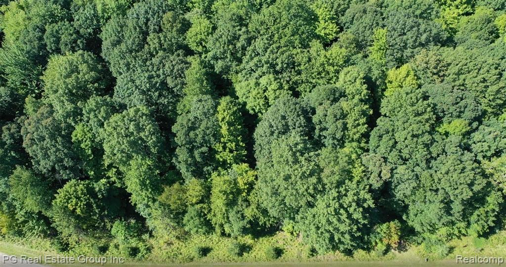 0 Charitoo Ridge Leonard, MI 48367 - Photo 13 of 34