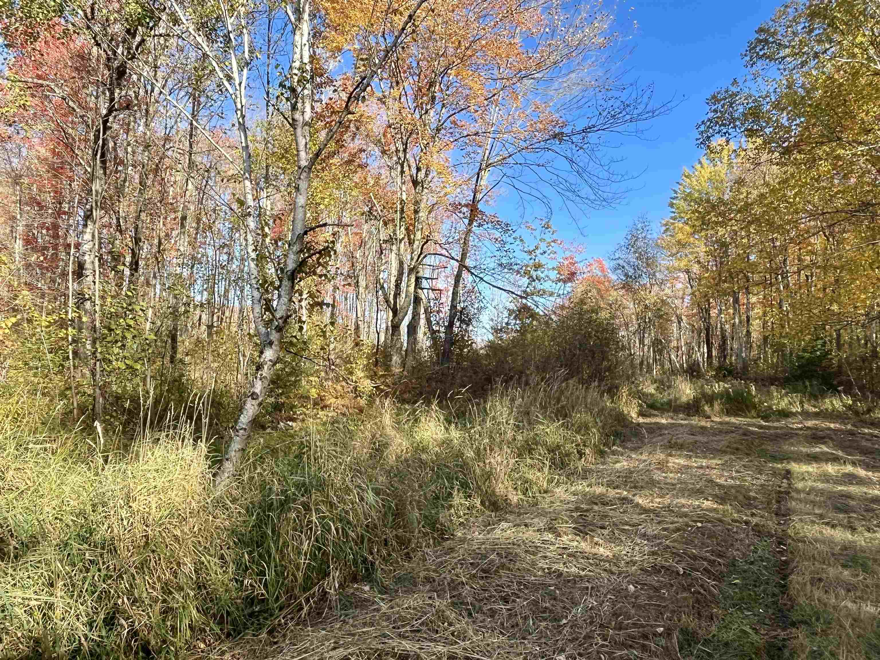 N5104 Pass Road Catawba, WI 54515 - Photo 13 of 31
