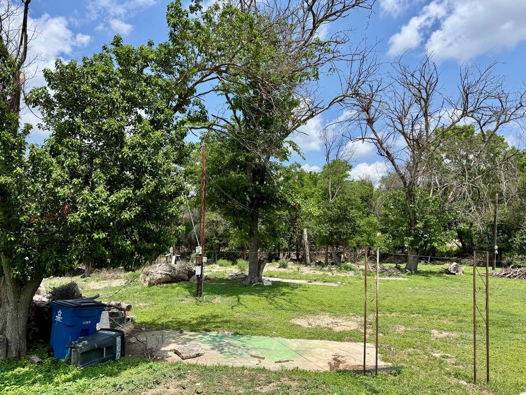 212 Way Drive Ingram, TX 78025 - Photo 20 of 22 a view of backyard with a garden
