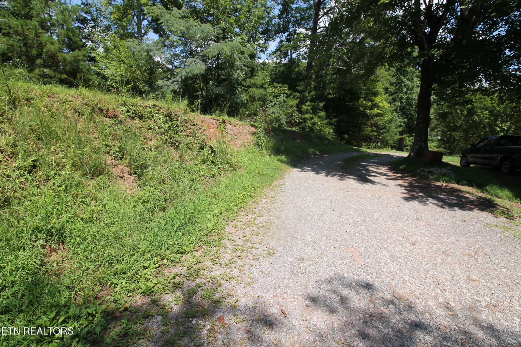 541 Wiggins Road Tellico Plains, TN 37385 - Photo 9 of 33 a view of a dirt pathway both side of yard