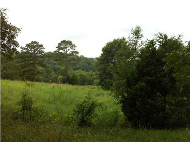 411 Copeland Road Ocoee, TN 37361 - Photo 3 of 7 Additional Photo