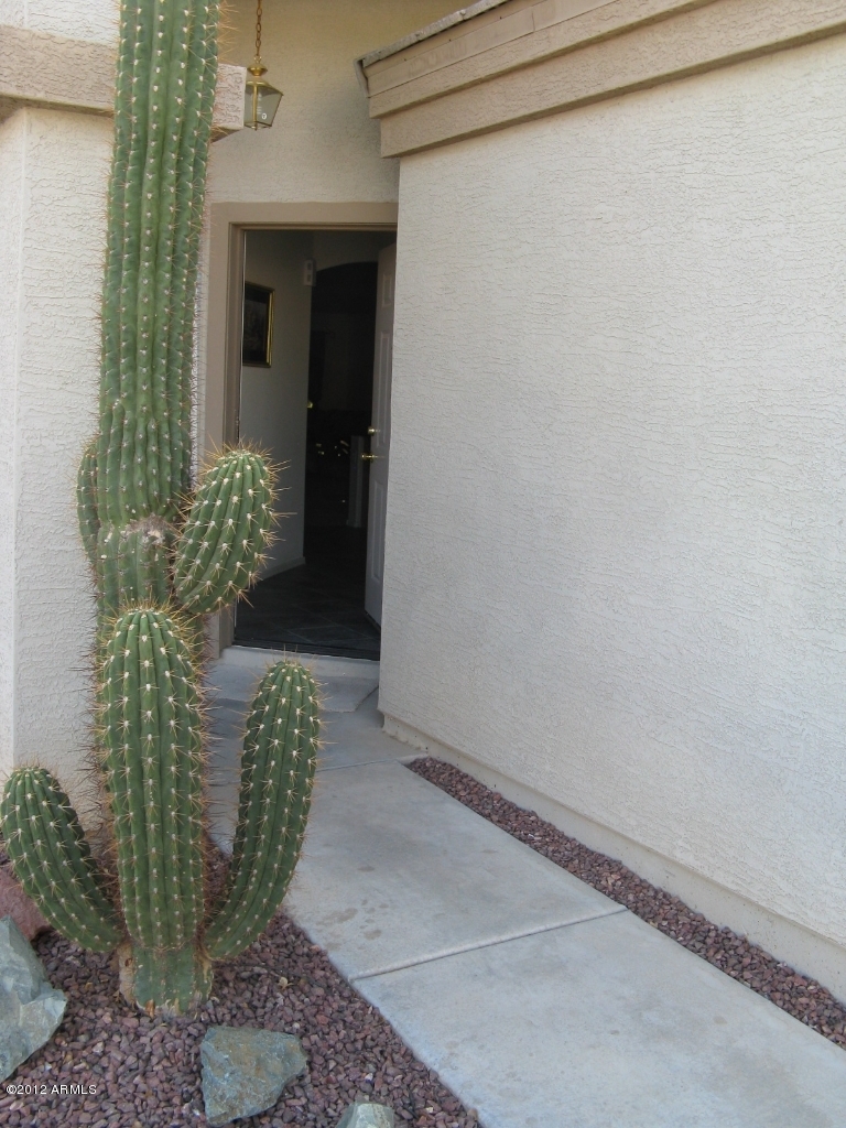 12537 West Redfield Road El Mirage, AZ 85335 - Photo 22 of 22 Large cactus near the front door