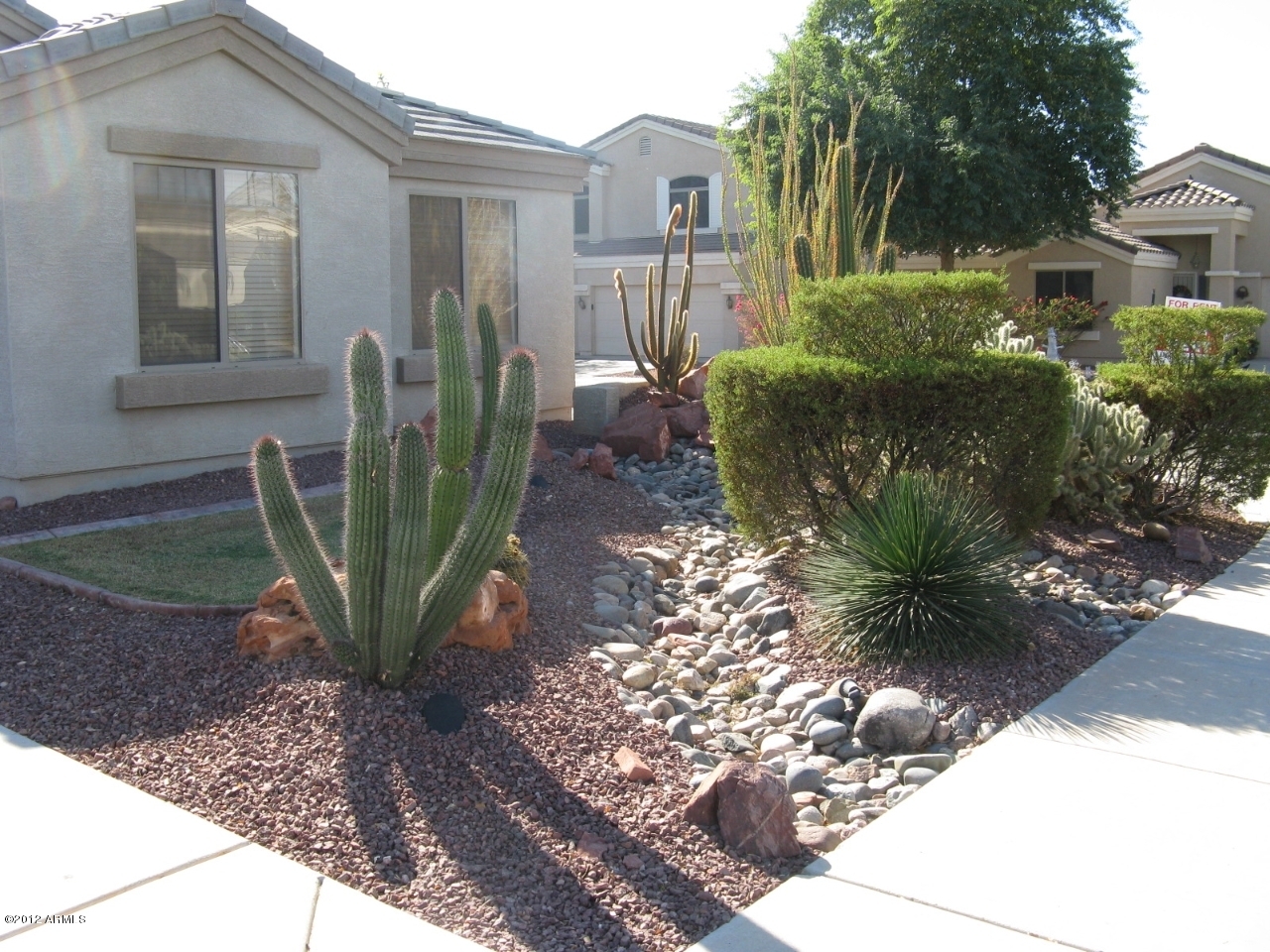 12537 West Redfield Road El Mirage, AZ 85335 - Photo 3 of 22 Front landscaping