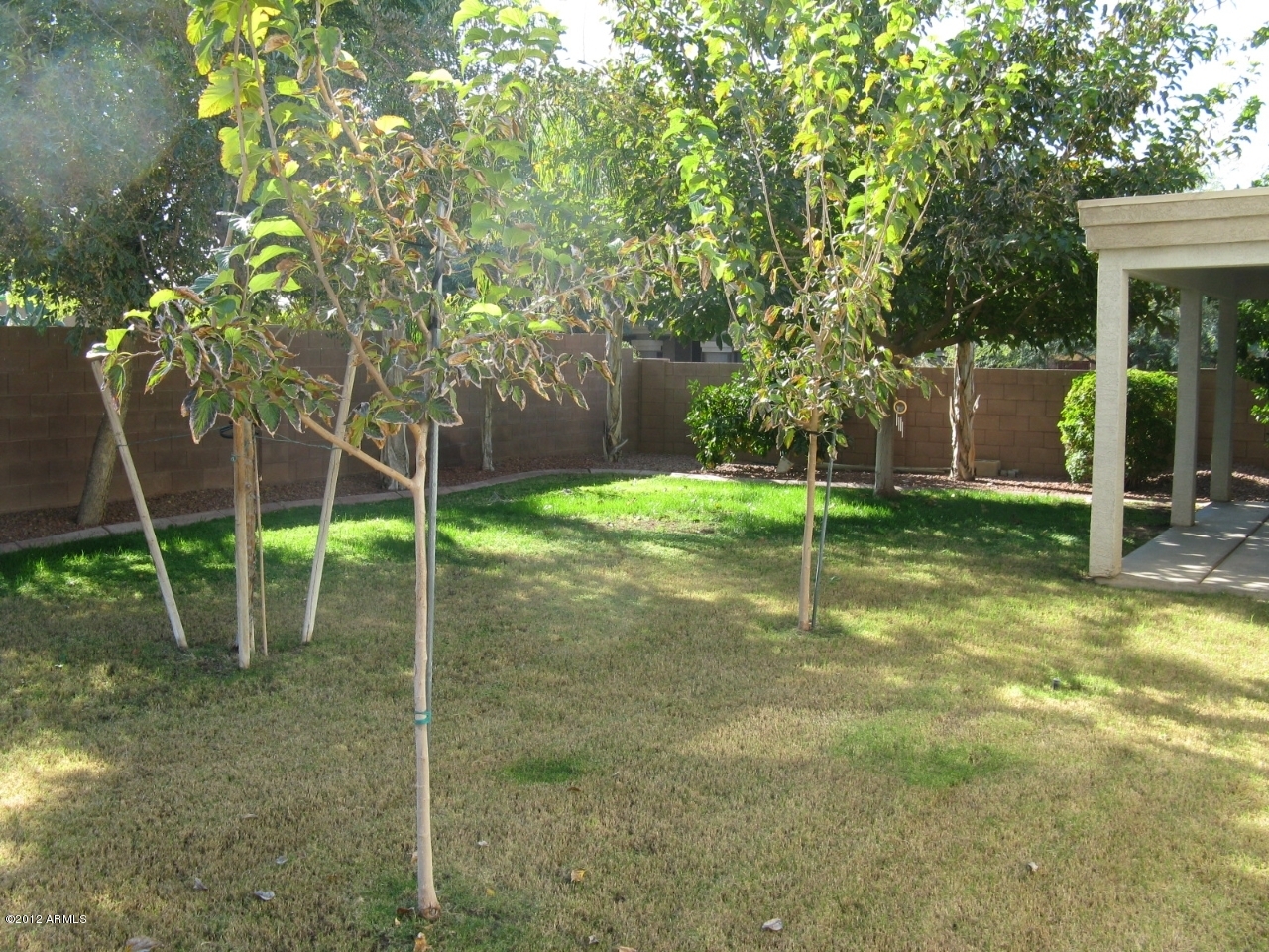 12537 West Redfield Road El Mirage, AZ 85335 - Photo 7 of 22 Rear yard and fruit trees
