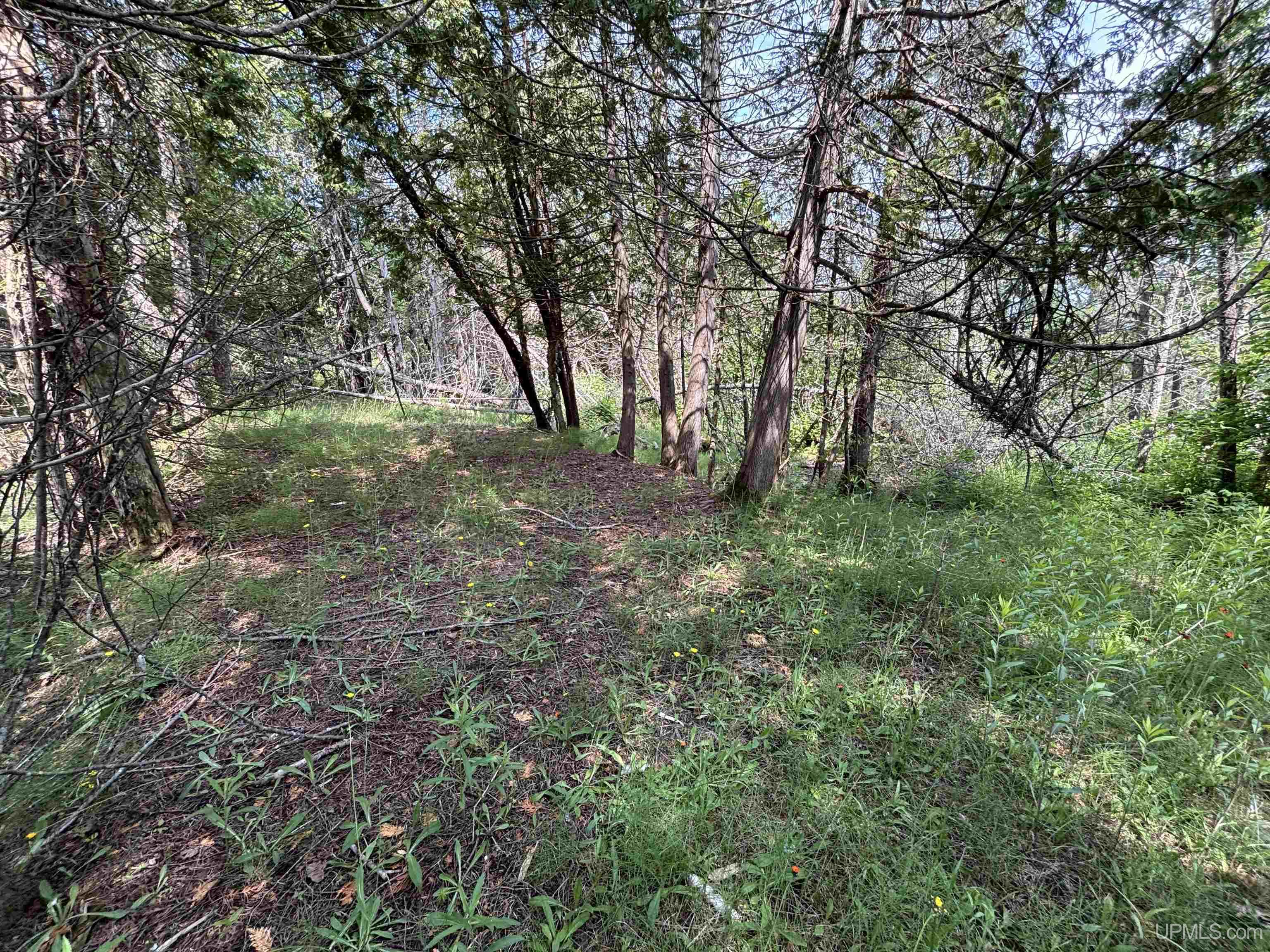 Tbd West Beach Road Naubinway, MI 49762 - Photo 45 of 45
