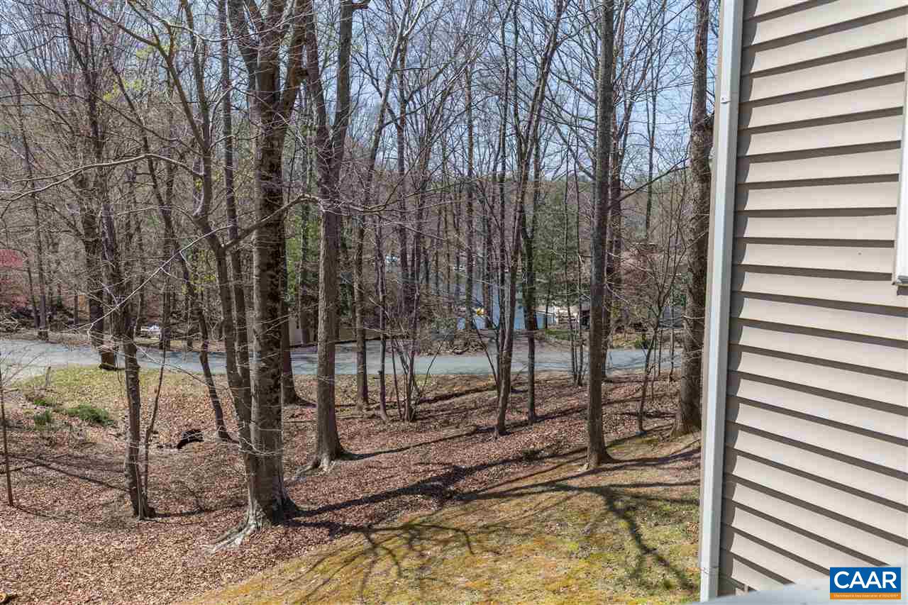 78 Amethyst Road Palmyra, VA 22963 - Photo 8 of 31 a view of outdoor space