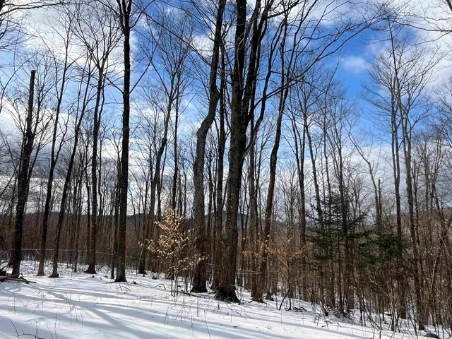 $249,000 | 2924 New Duck Pond Road, Sheffield, VT 05866