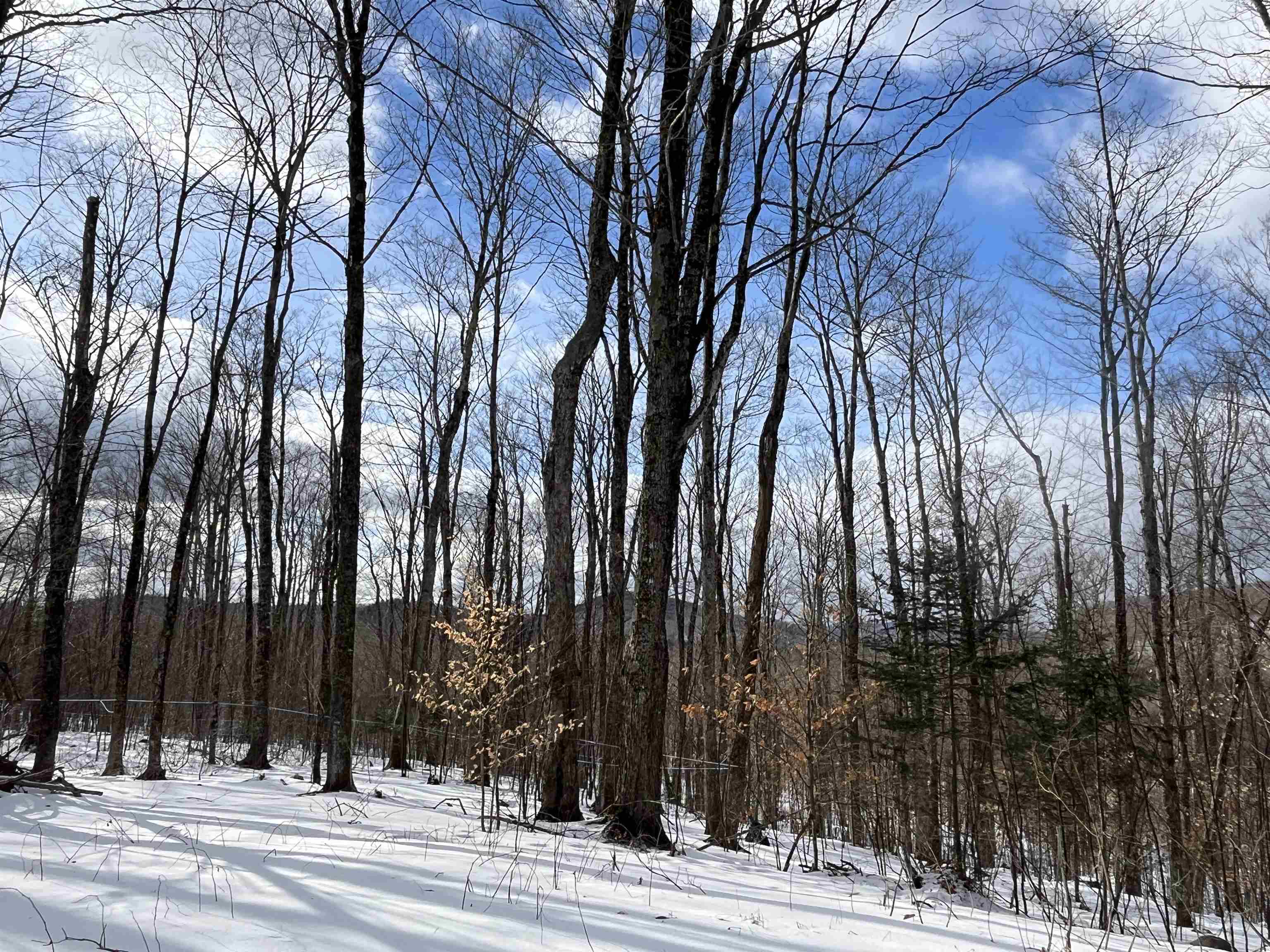 2924 New Duck Pond Road Sheffield, VT 05866 - Photo 13 of 18