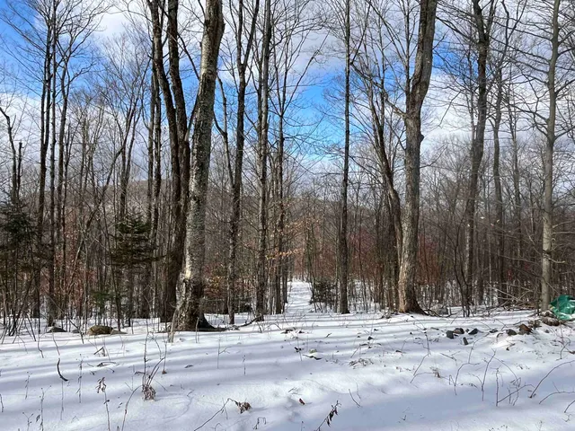 $249,000 | 2924 New Duck Pond Road, Sheffield, VT 05866