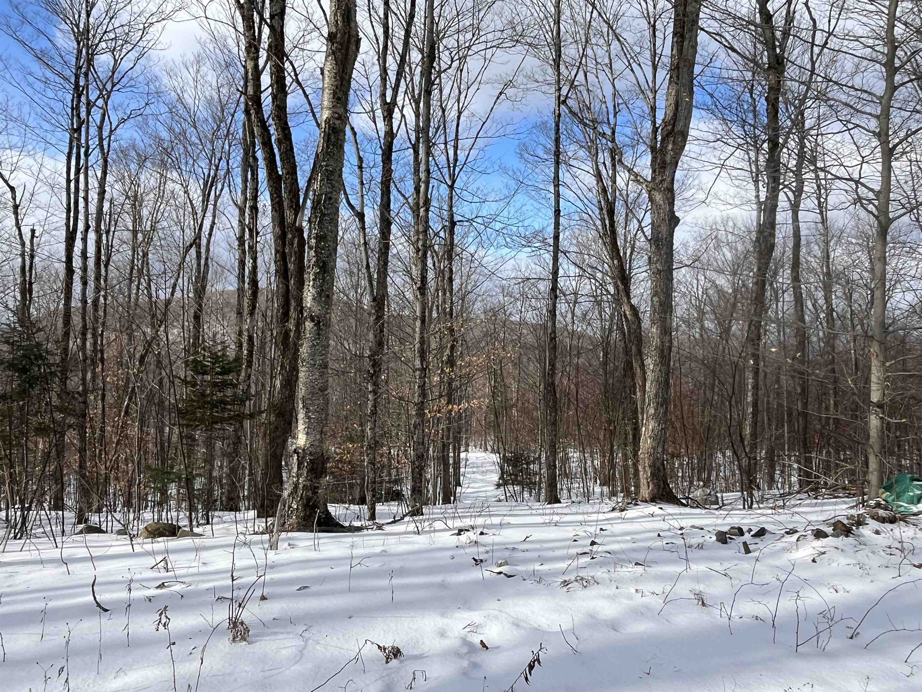 2924 New Duck Pond Road Sheffield, VT 05866 - Photo 14 of 18