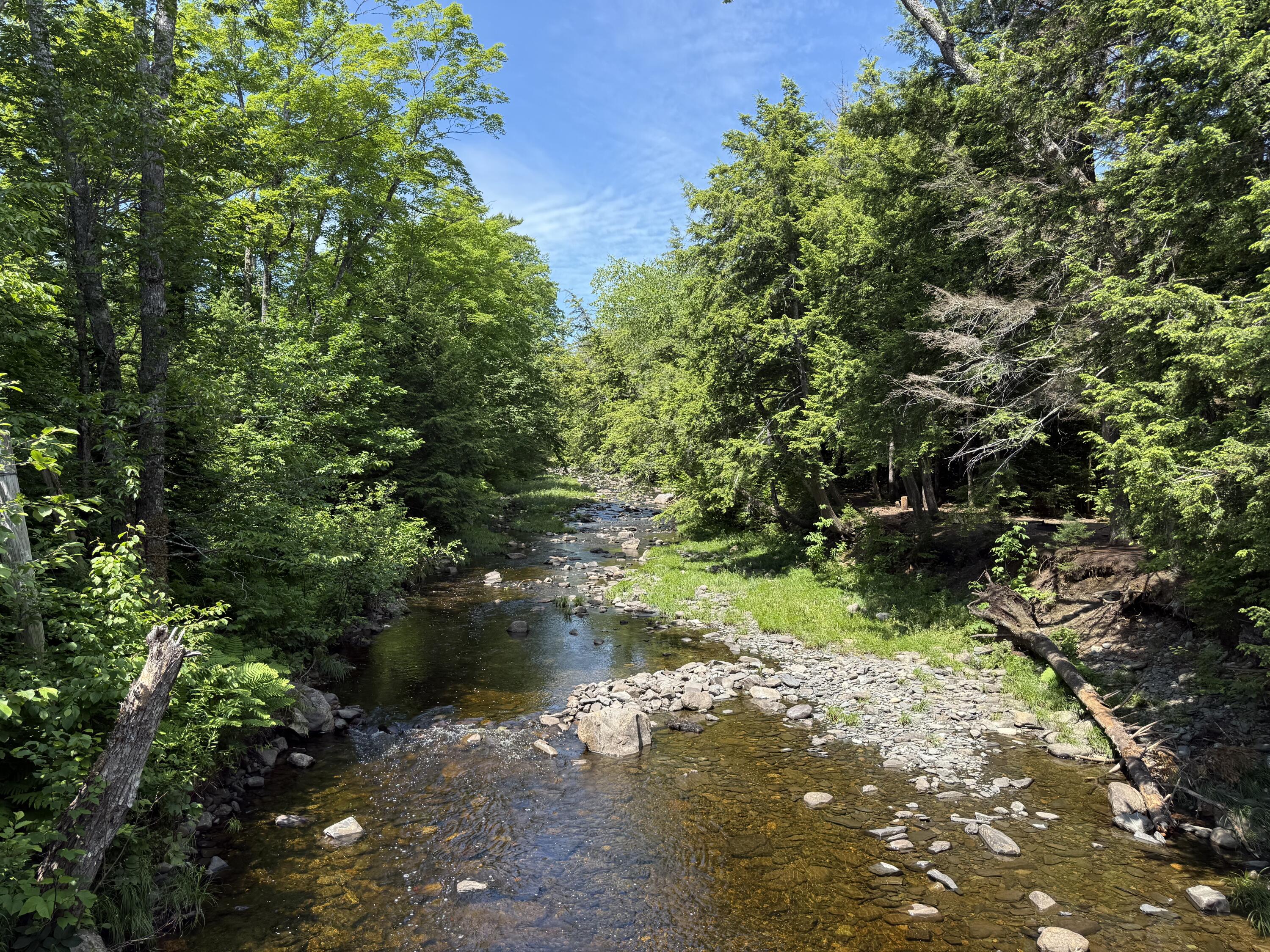 119 Campground Road Guilford, ME 04443 - Photo 18 of 21 IMG_3478