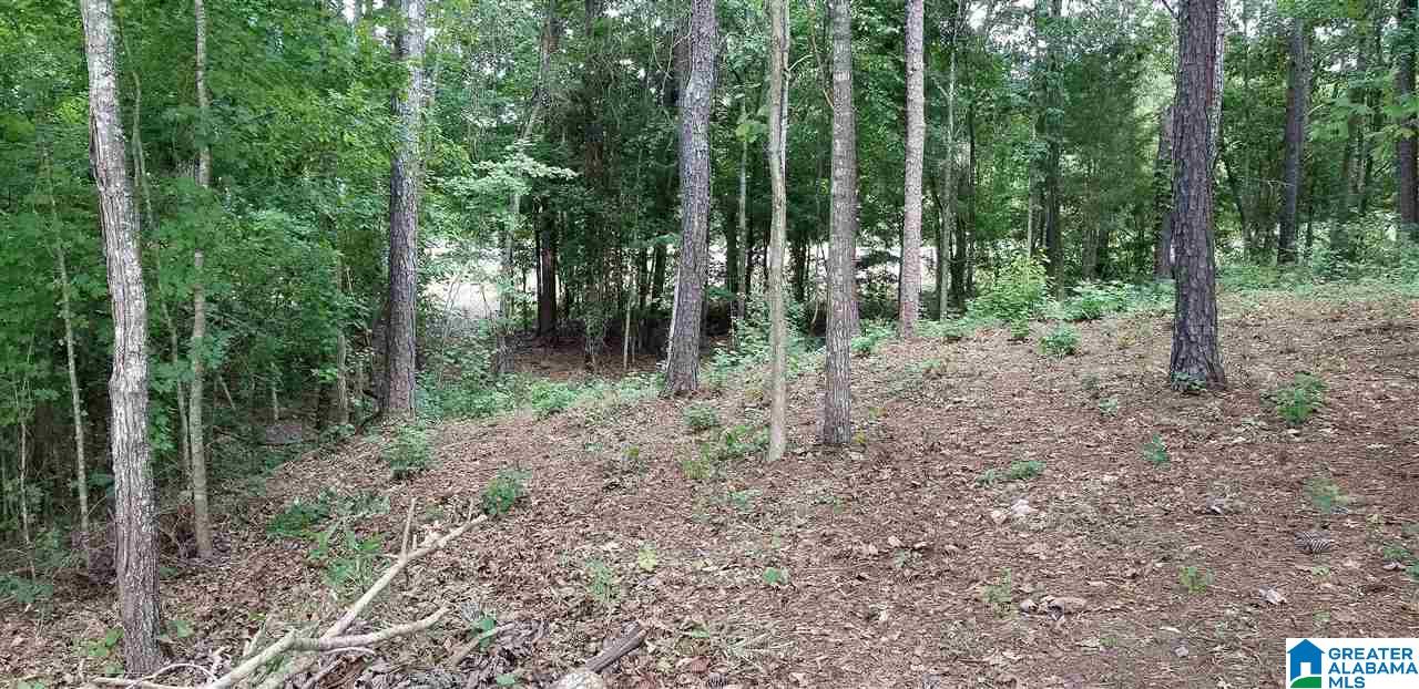 0 Briar Cliff Road, Unit 12 Rainbow City, AL 35906 - Photo 23 of 29