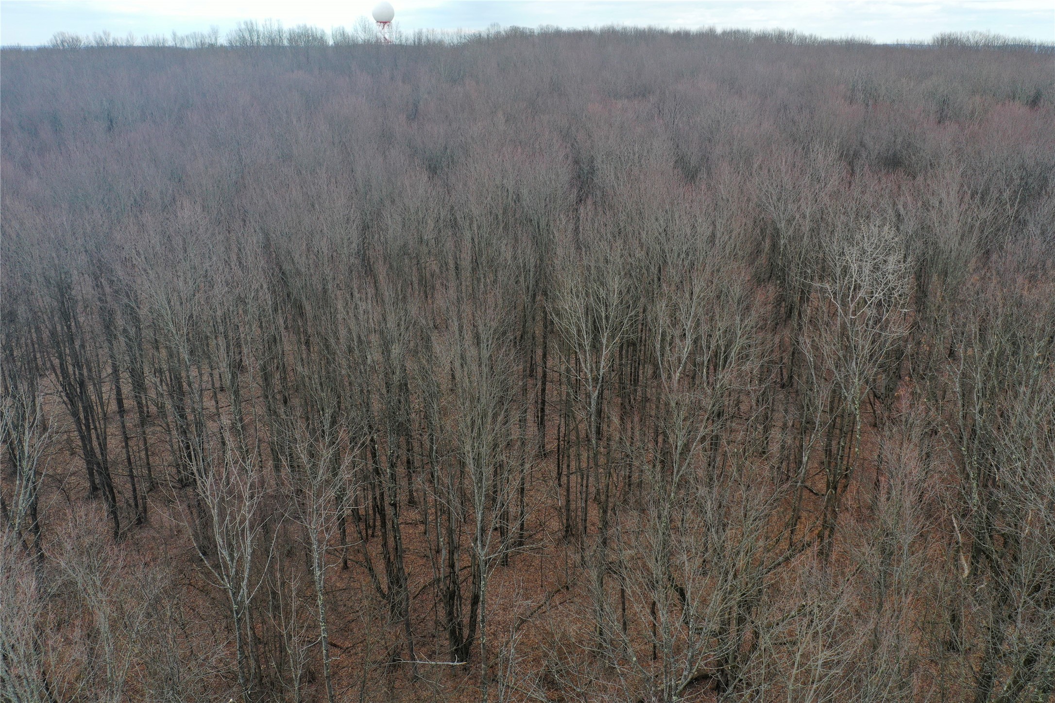 2320 Airport Road Johnson City, NY 13790 - Photo 40 of 46