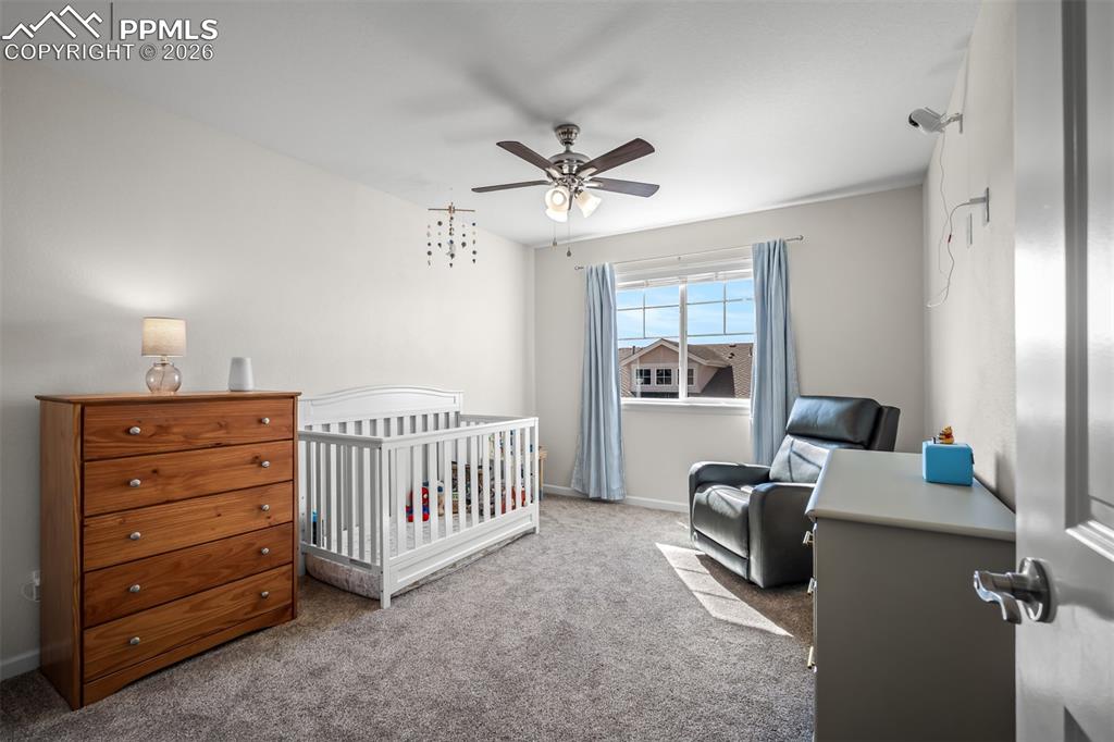 1334 Promontory Crest View Colorado Springs, CO 80921 - Photo 30 of 49