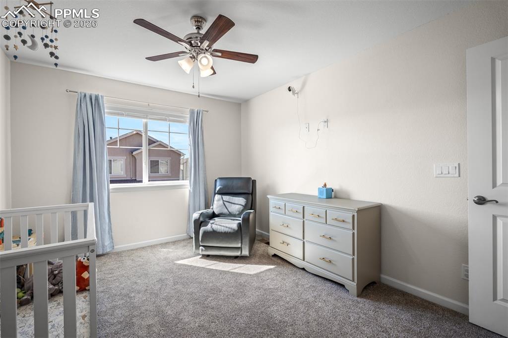 1334 Promontory Crest View Colorado Springs, CO 80921 - Photo 31 of 49