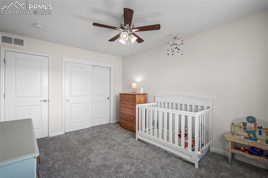 1334 Promontory Crest View Colorado Springs, CO 80921 - Photo 32 of 49