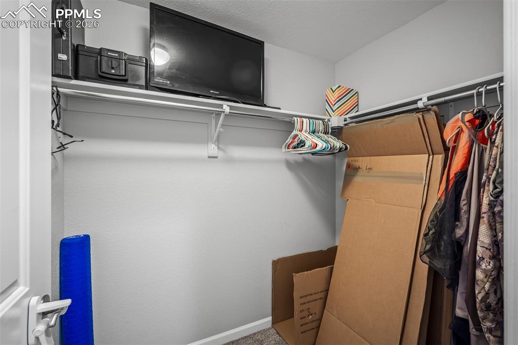 1334 Promontory Crest View Colorado Springs, CO 80921 - Photo 42 of 49