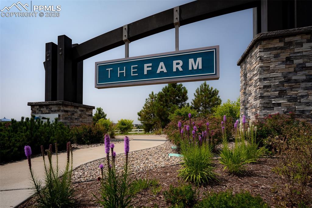 1334 Promontory Crest View Colorado Springs, CO 80921 - Photo 48 of 49