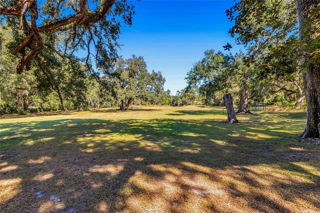 5012 West C 476 Bushnell, FL 33513 - Photo 3 of 42 a view of a trees with yard