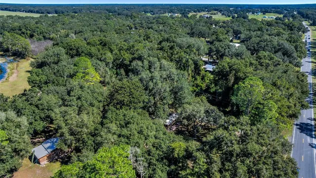 an aerial view of a forest with houses