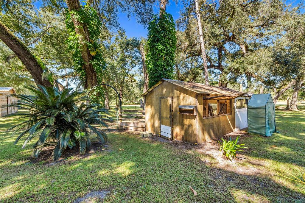 5012 West C 476 Bushnell, FL 33513 - Photo 6 of 42 a view of a backyard with a table and chairs