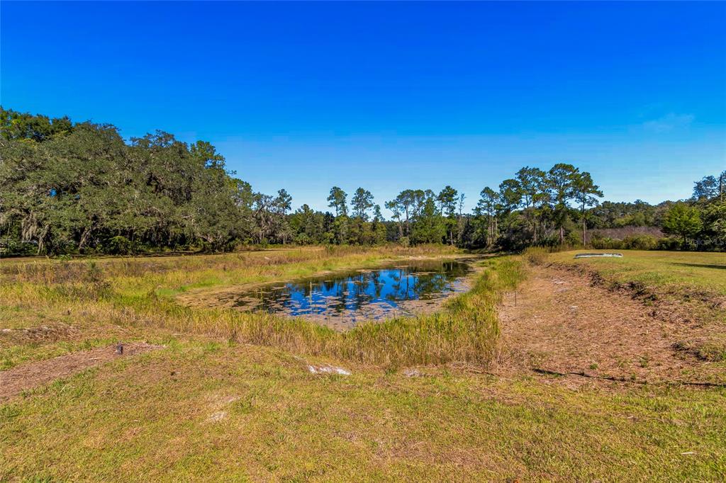 5012 West C 476 Bushnell, FL 33513 - Photo 9 of 42 a view of a lake with houses in the back