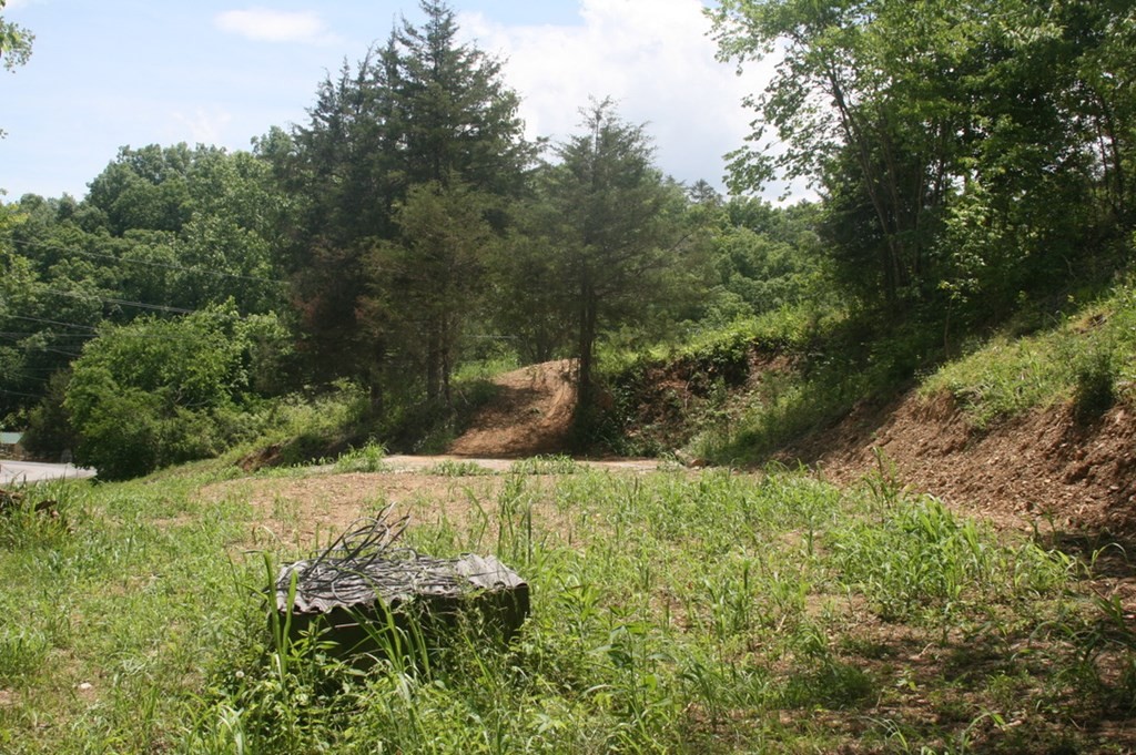 1566 Parrotts Chapel Road Sevierville, TN 37876 - Photo 20 of 32 Gallery Image 20