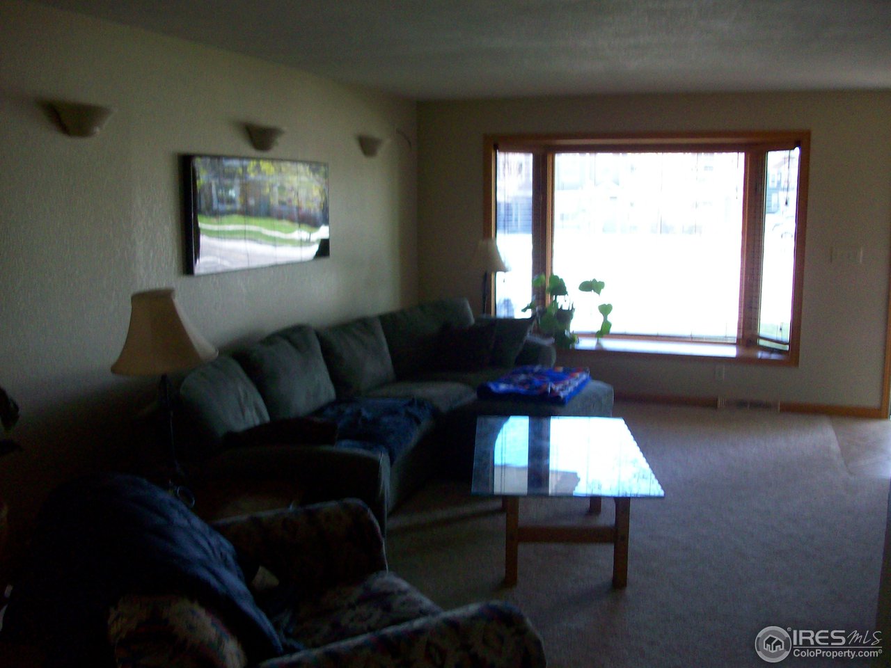 1004 East Prospect Road Fort Collins, CO 80525 - Photo 3 of 11 Gallery Image 3