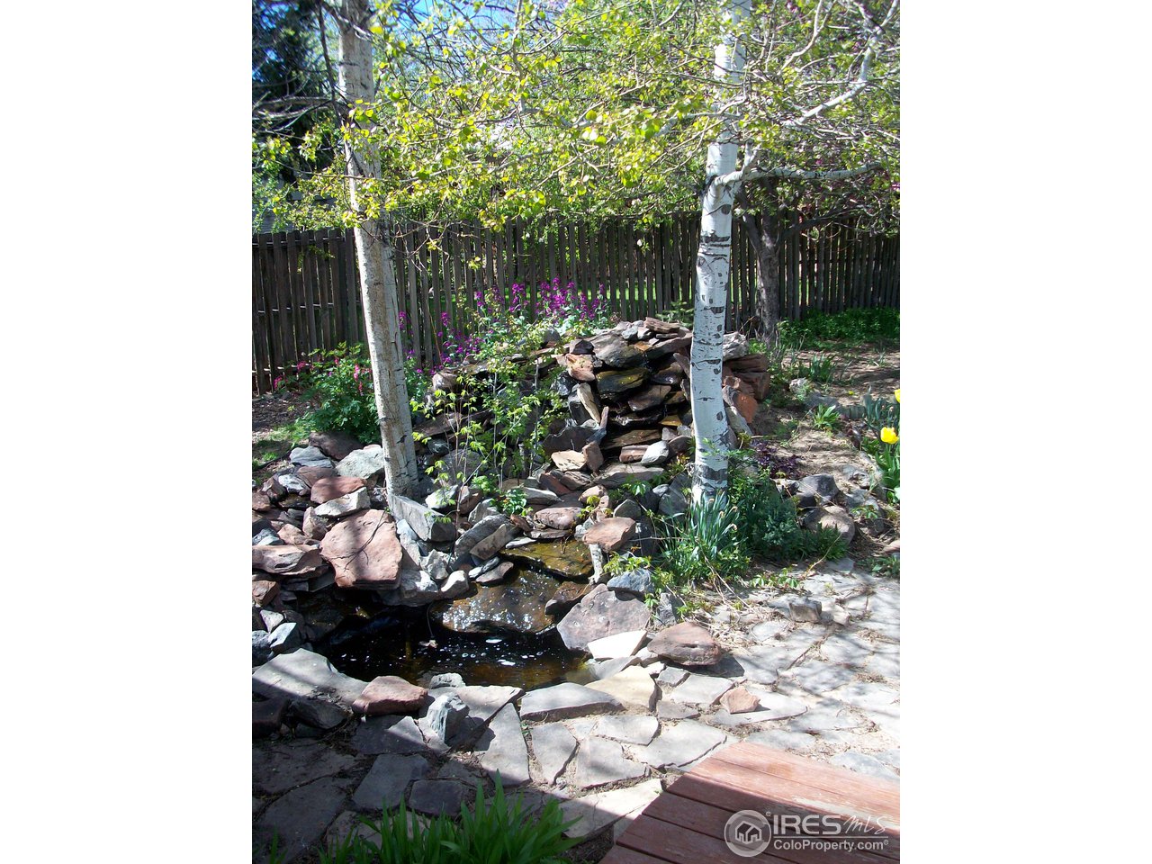 1004 East Prospect Road Fort Collins, CO 80525 - Photo 8 of 11 Gallery Image 8