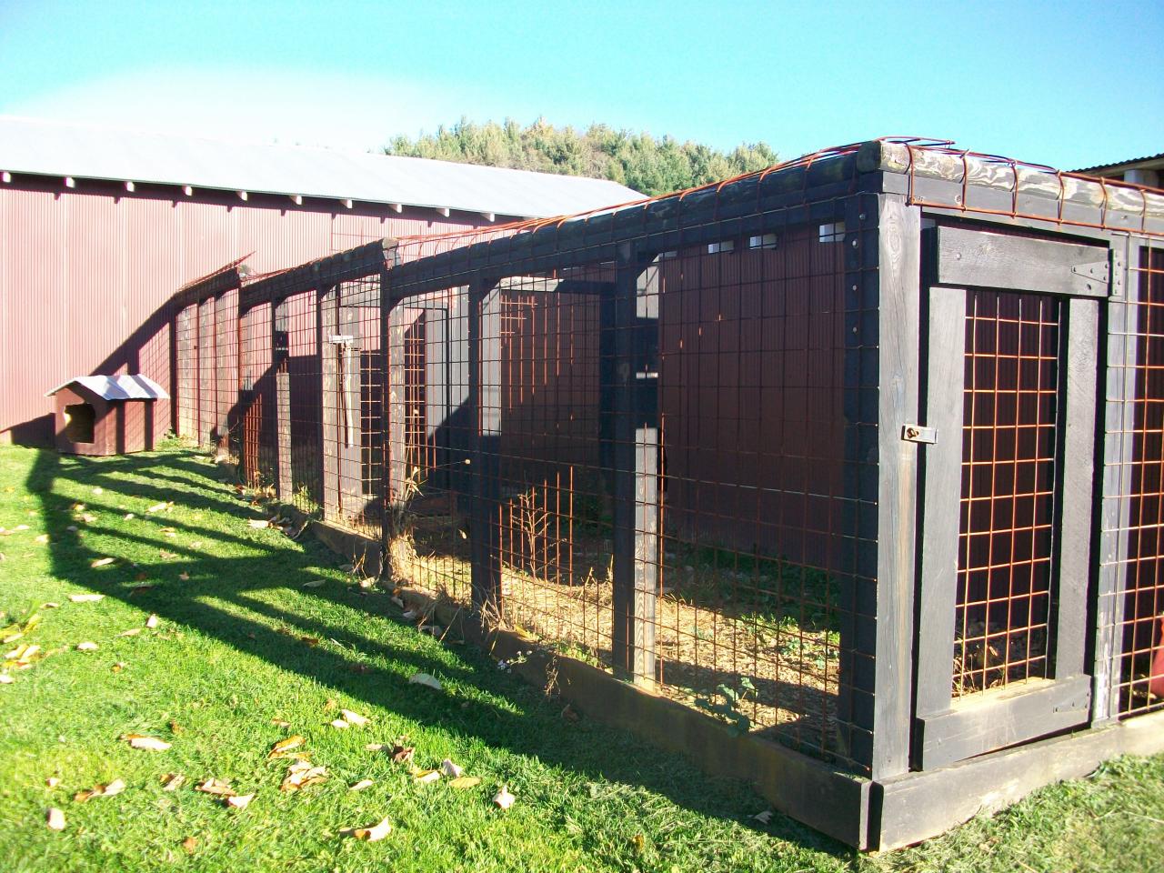 1430 Daniels Run Road Northeast Check, VA 24072 - Photo 7 of 20 Dog run