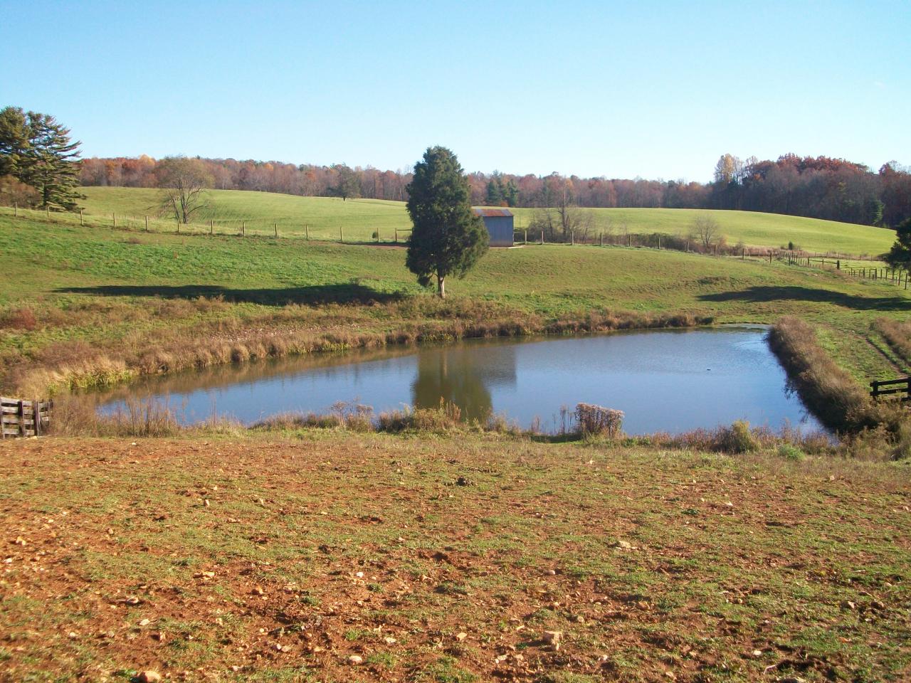 1430 Daniels Run Road Northeast Check, VA 24072 - Photo 8 of 20 Pond