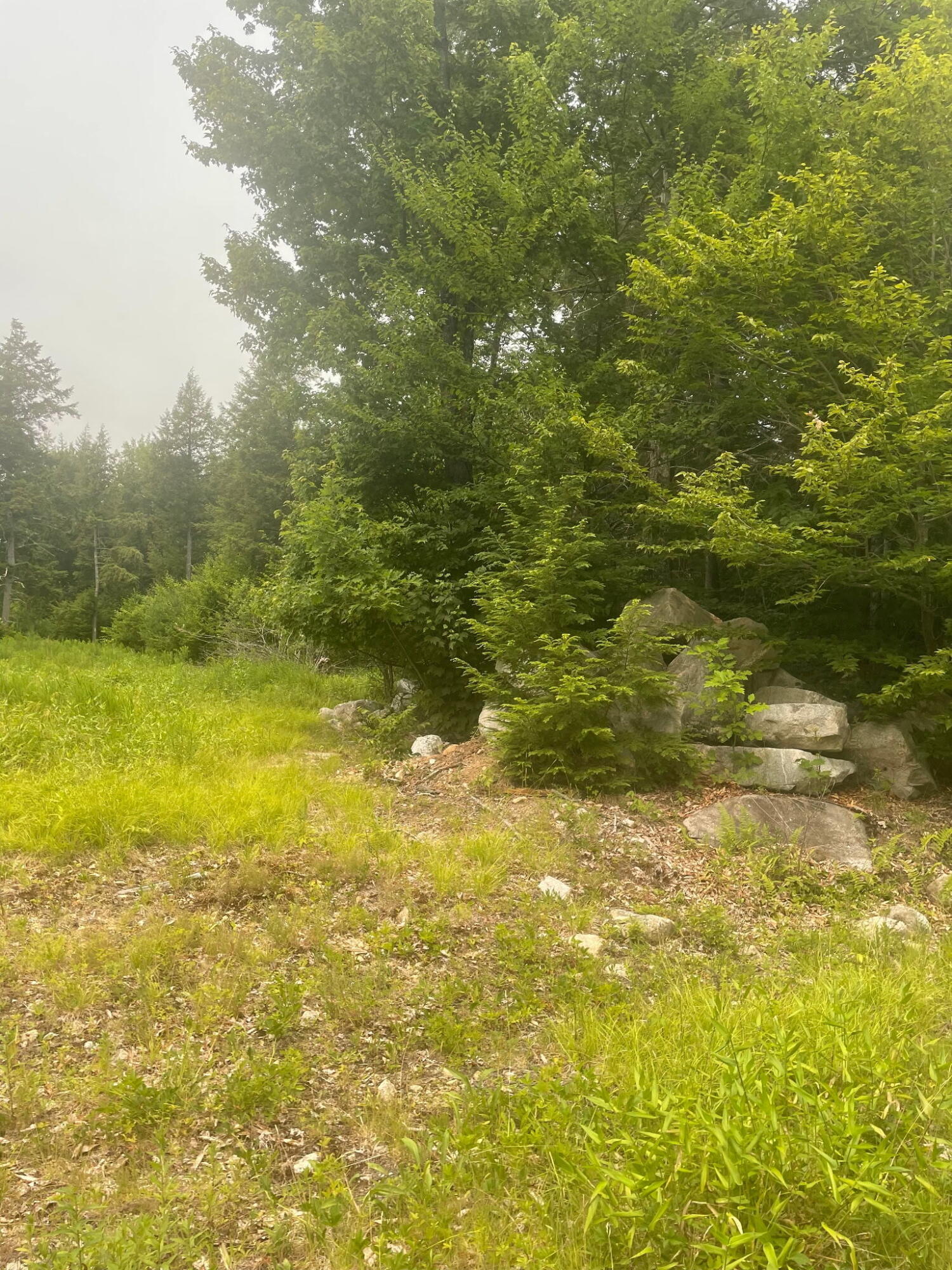 Lot 3 Allen Mountain Road Denmark, ME 04022 - Photo 9 of 11 4675
