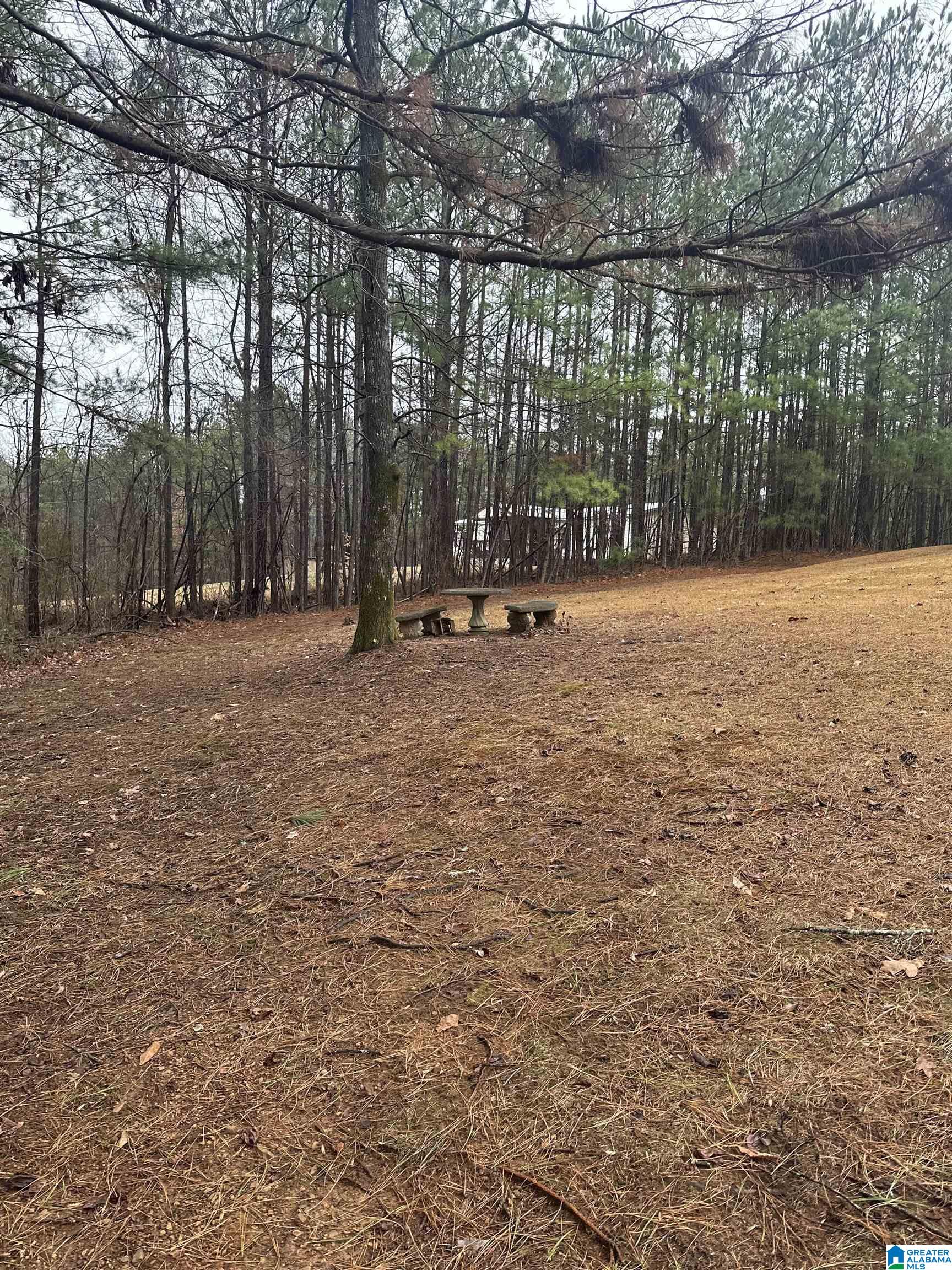 18732 Crisstown Road Vance, AL 35490 - Photo 37 of 46