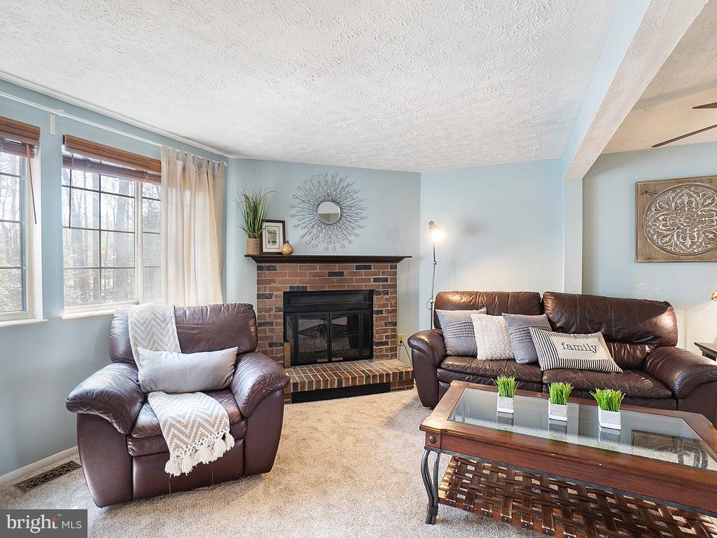 Living Room Photo 1