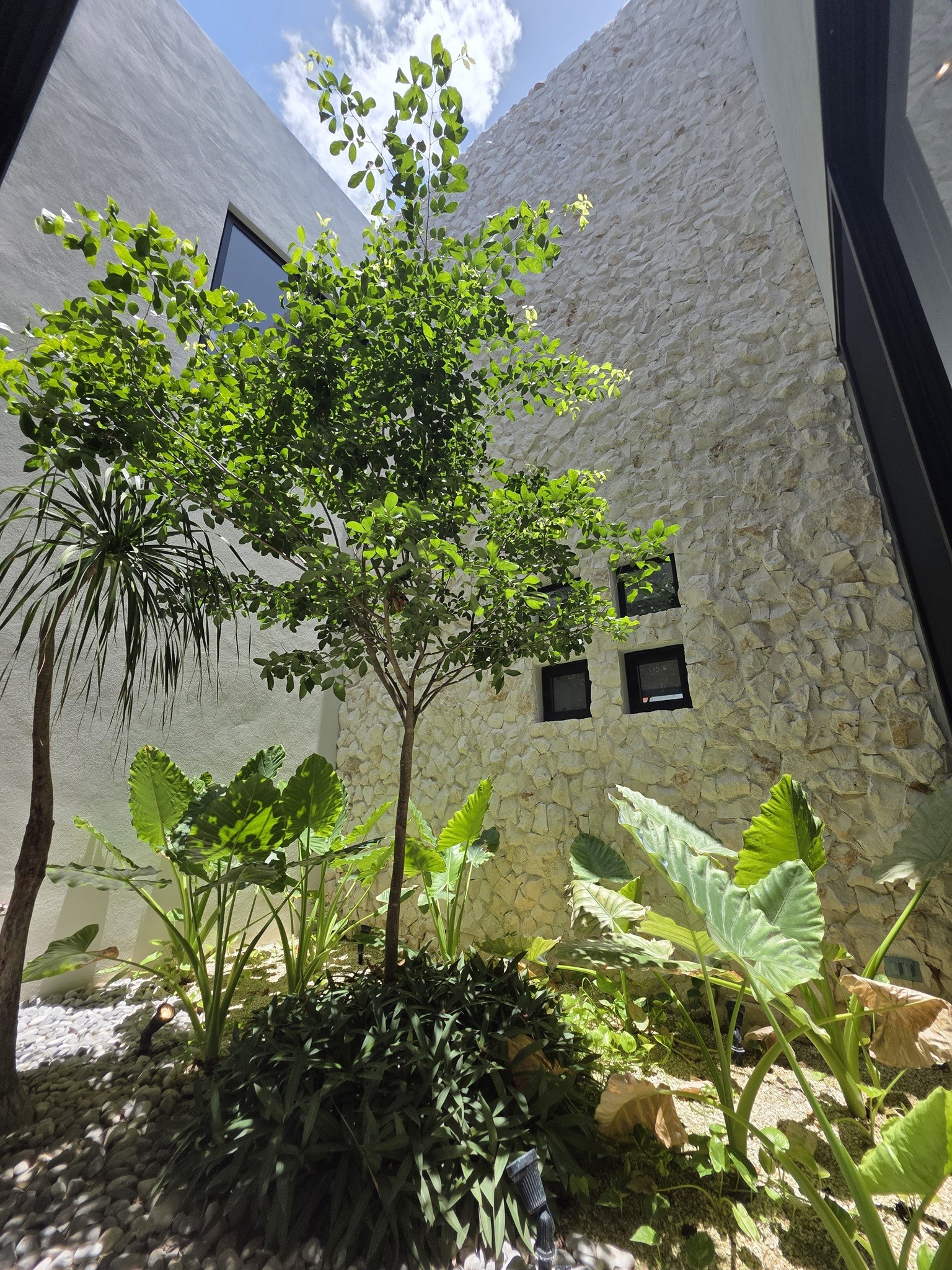 17 Oasis Salem, undefined 97302 - Photo 11 of 24 interior garden on the first floor