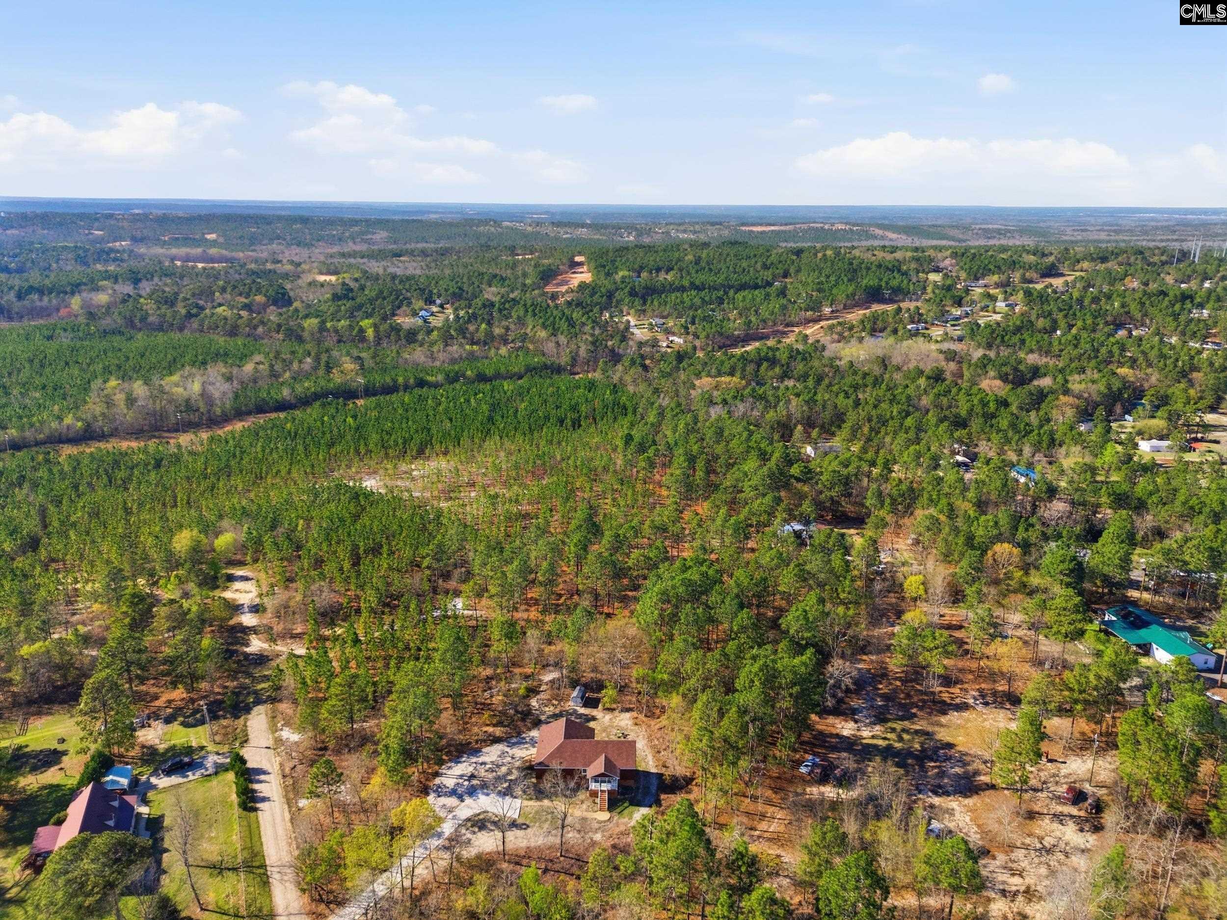 263 Sugar Loaf Road Gaston, SC 29053 - Photo 26 of 35